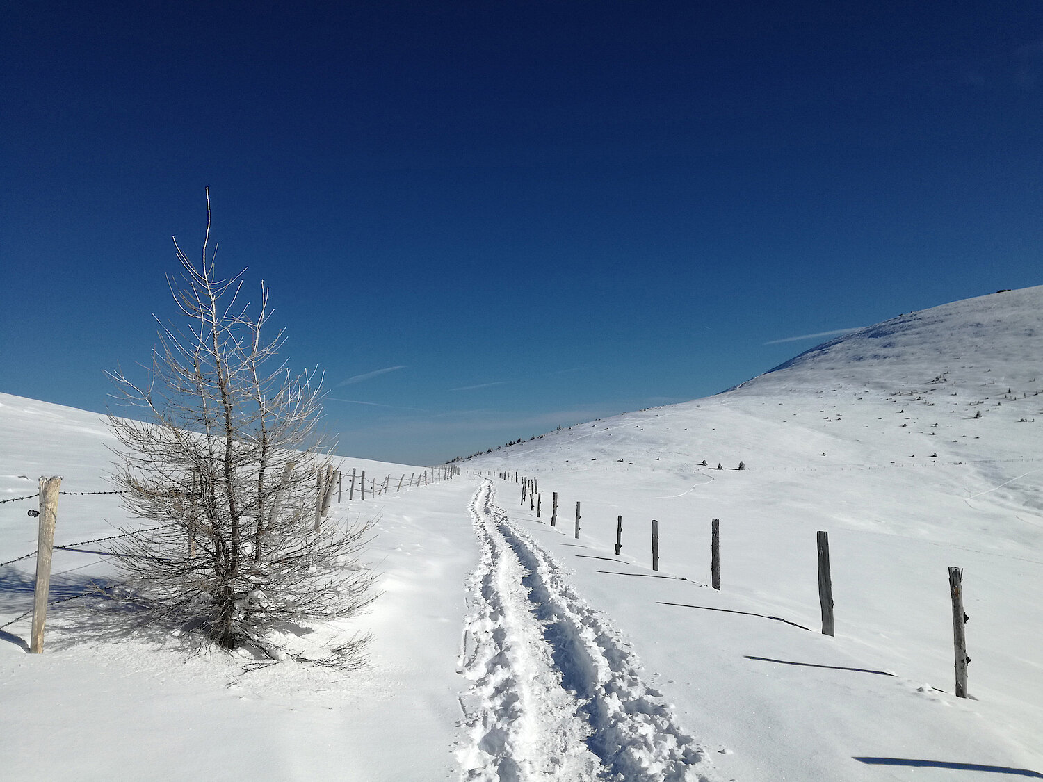 Foto Wanderweg im Schnee