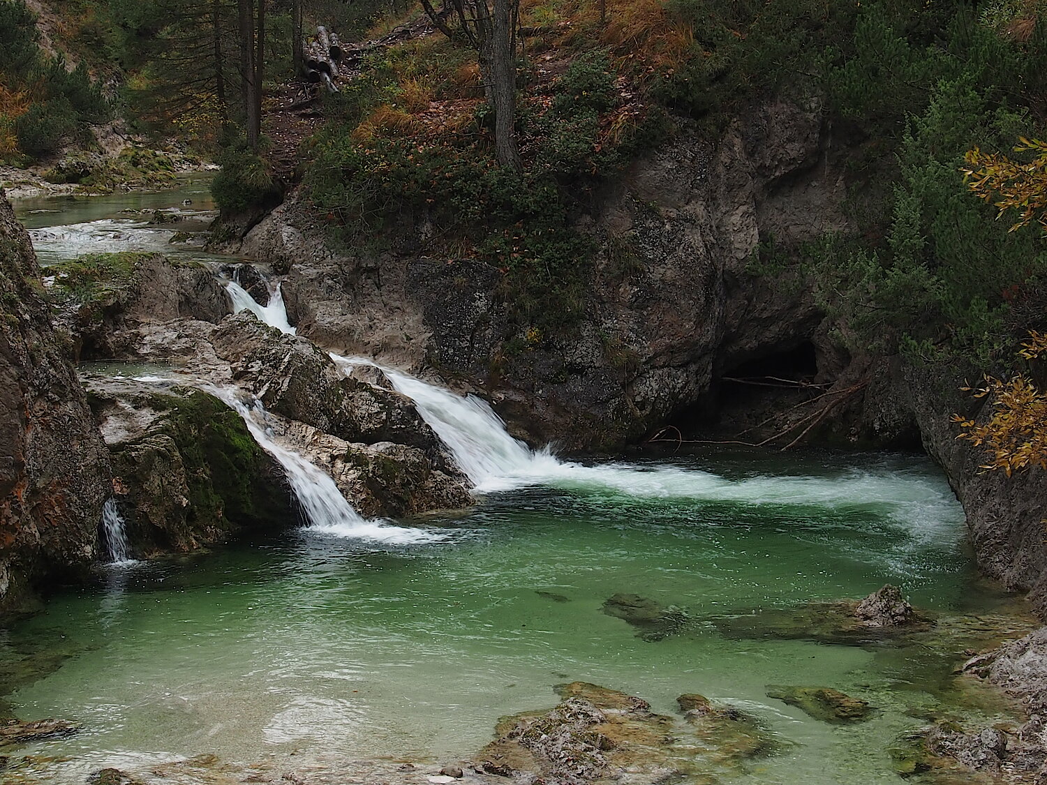 Wasserbecken im Naturpark Ötscher-Tormäuer in Niederösterreich