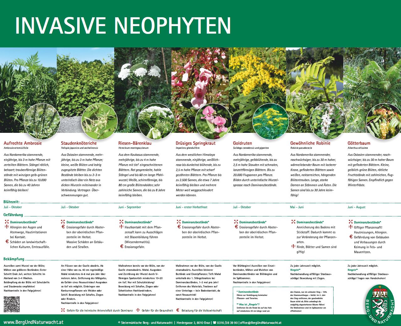 Plakat Invasive Neophyten Steiermärkische Berg- und Naturwacht
