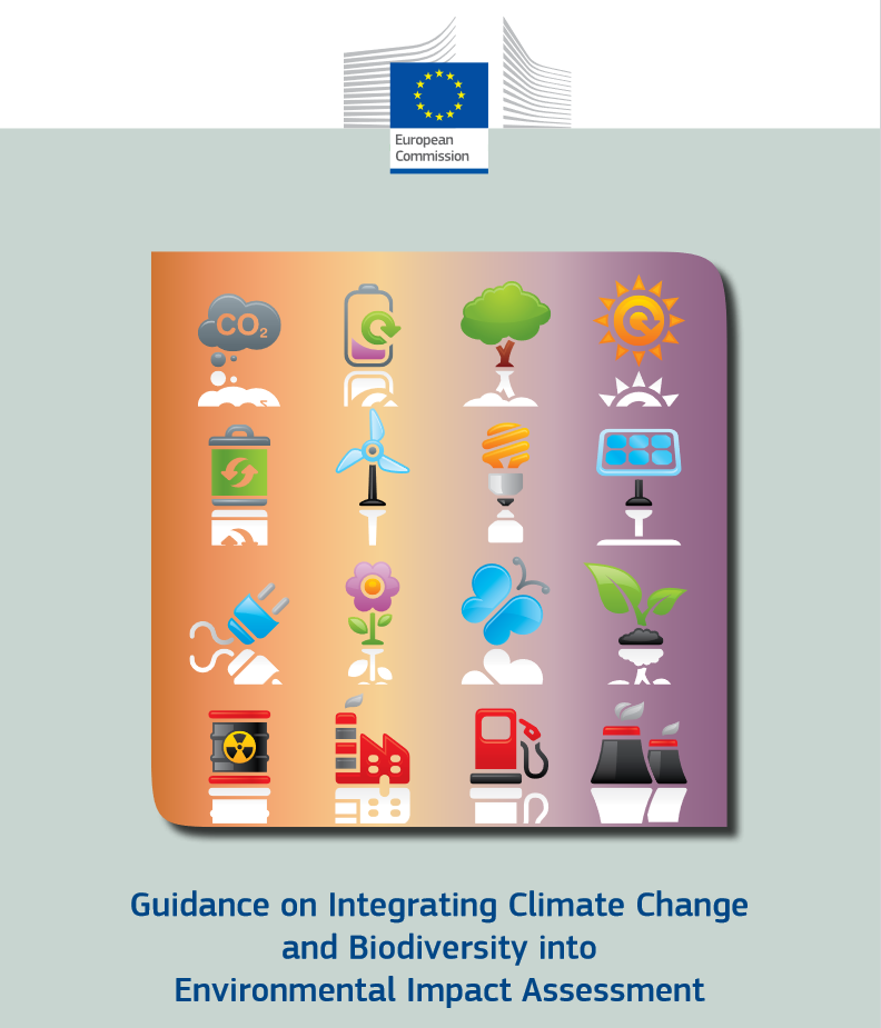 Deckblatt Guidance on Integrating Climate Change and Biodiversity into Strategic Environmental Assessment