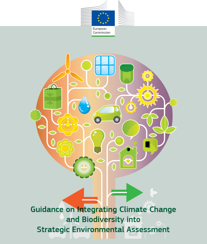 Deckblatt Guidance on Integrating Climate Change and Biodiversity into Environmental Impact Assessment
