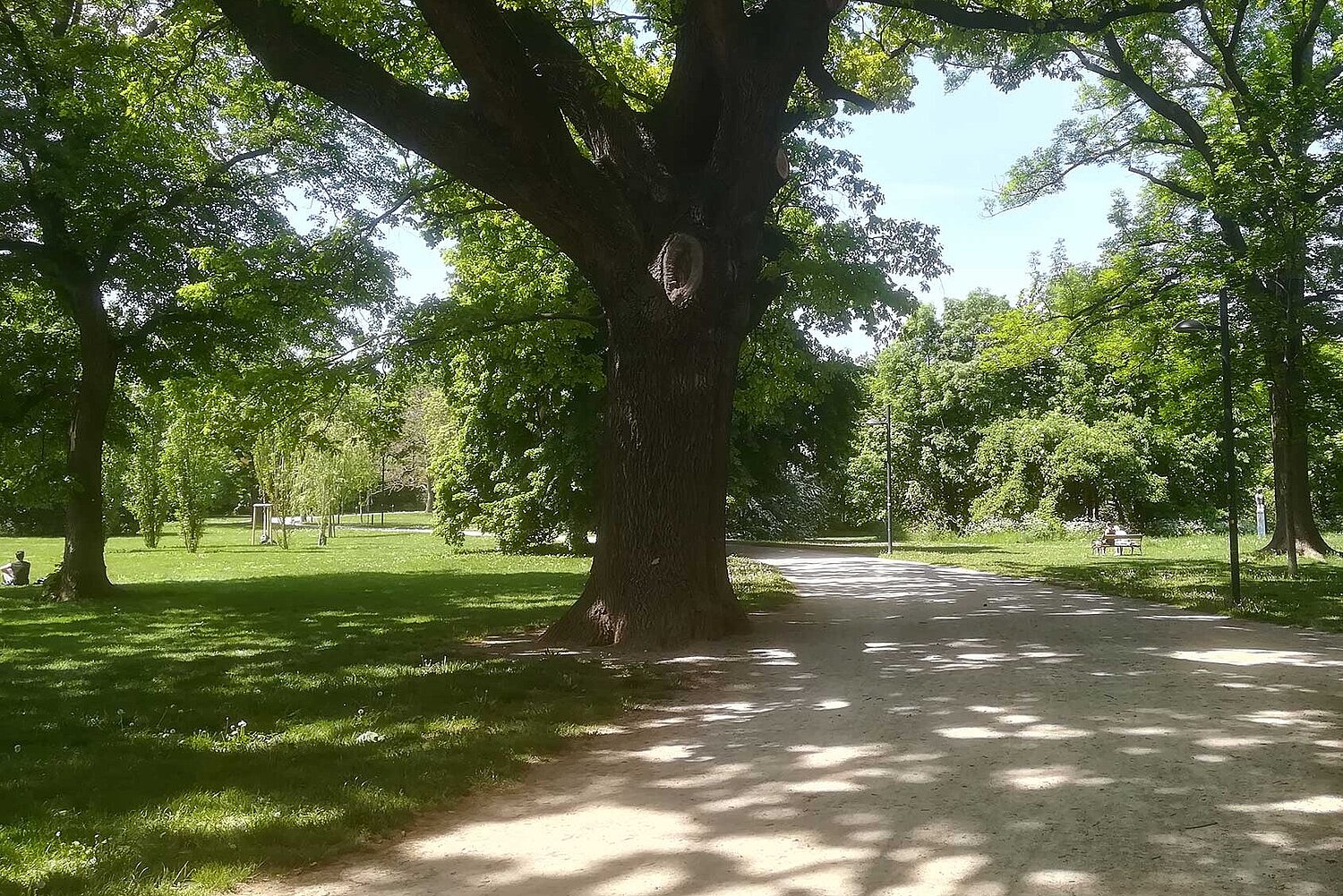 Foto Park in Wien