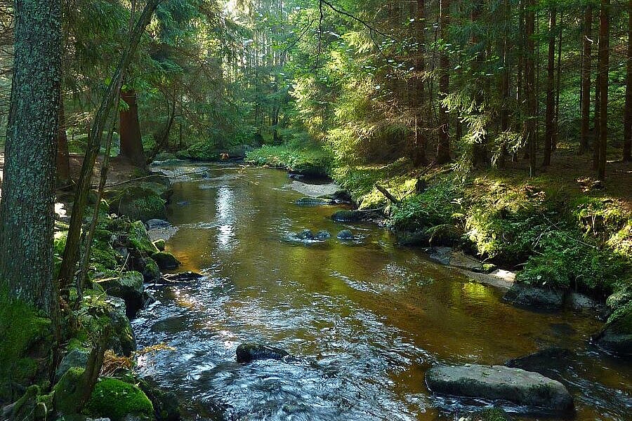 Foto Waldbach