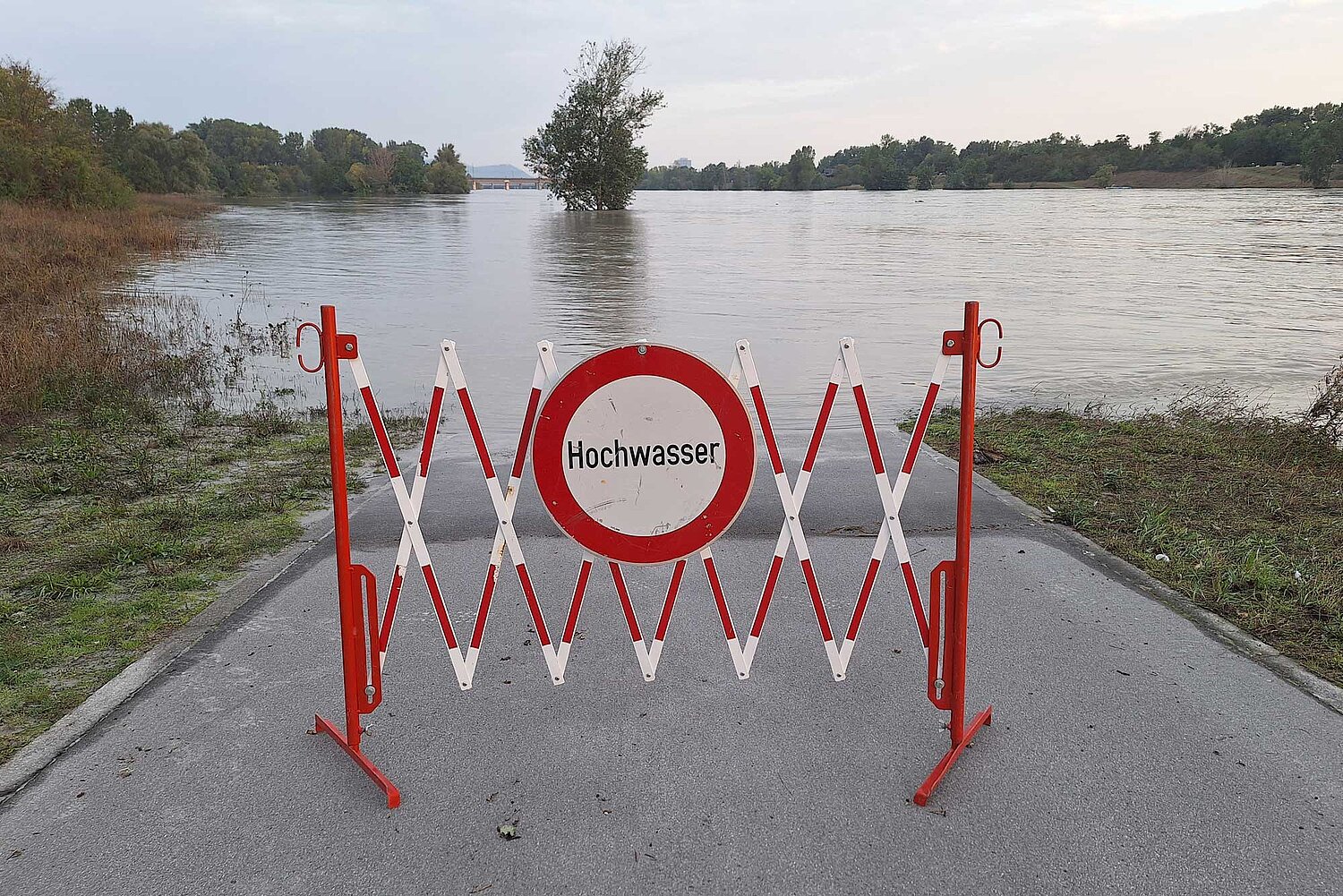 Foto Absperrschild mit der Kennzeichnung Hochwasser vor überflutetem Weg