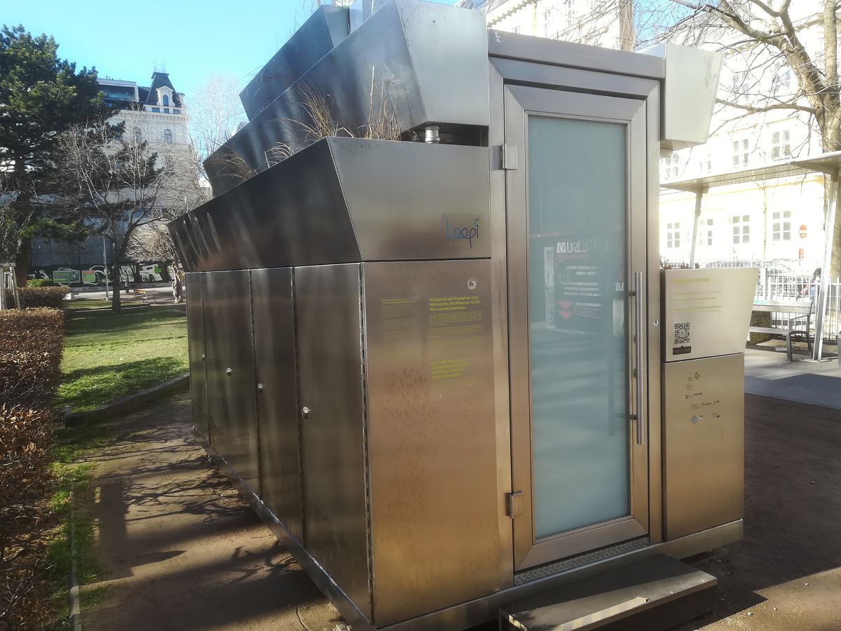 Foto Pflanzen Klo Loopi