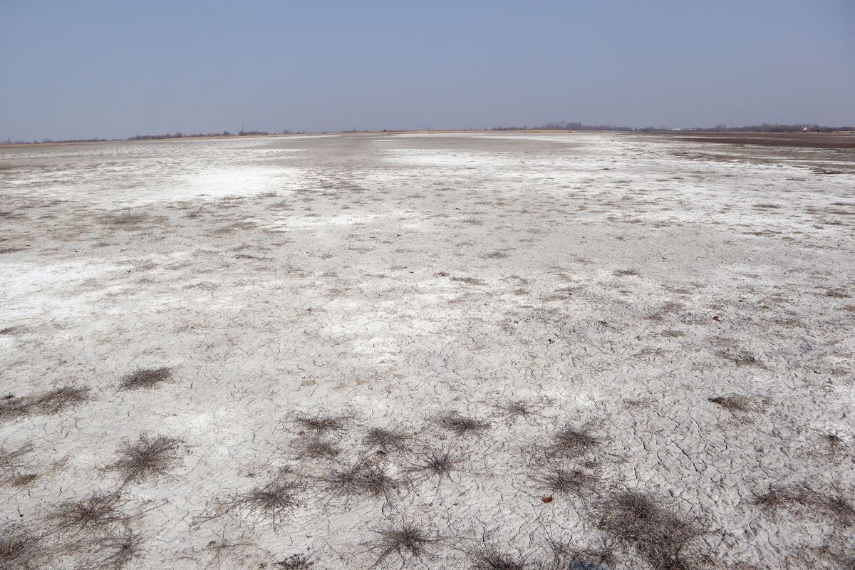Foto Trockenheit im Nationalpark Neusiedler See