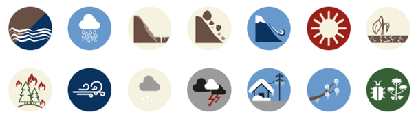 Icons des Vorsorgechecks Naturgefahren im Klimawandel.