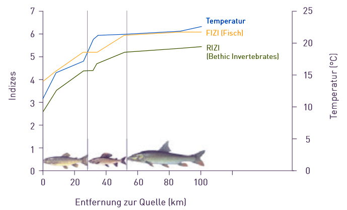 Darstellung Veränderung der Temperatur von Gewässer
